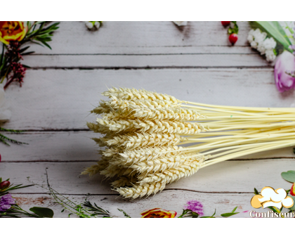 Ear of bleached wheat (5 pcs.)